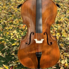 Professional Cello Alessandro Gagliano 4/4 Luthier Dumitru Pop,