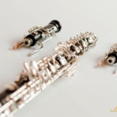 Oboe Marigaux M2  serial number: MO513,