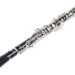 Oboe (Rigoutat - Riec) stolen on the train,