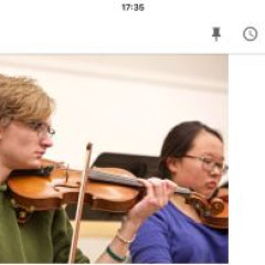 Missing presumed stolen violin, Pullman WA, USA,