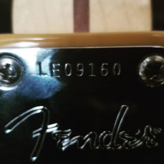 fender cabronita telecaster LE butterscotch,