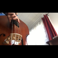 Plywood 3/4 upright and carbon fiber german bow,