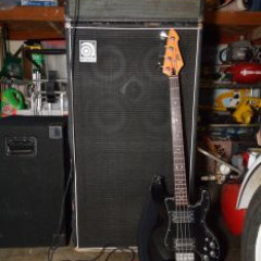 Black Peavey T-40,