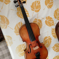 VIOLON BERGONZI,