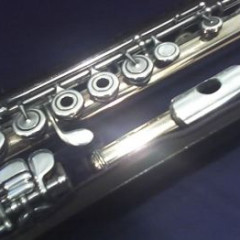 BRANNEN-COOPER 9K GOLDEN FLUTE, SILVER MECHANIQUE, B-FOOT, N.1610,