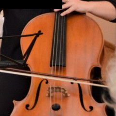 Cello Honěk (from Czech republic) and two bows in blue cello case "Carbon mac",