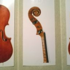 A VIOLIN "OTELLO BIGNAMI" BOLOGNA 1977 STOLEN IN TURIN ITALY,