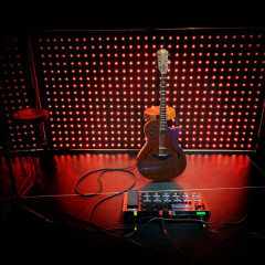 Taylor T5 ovangkol,